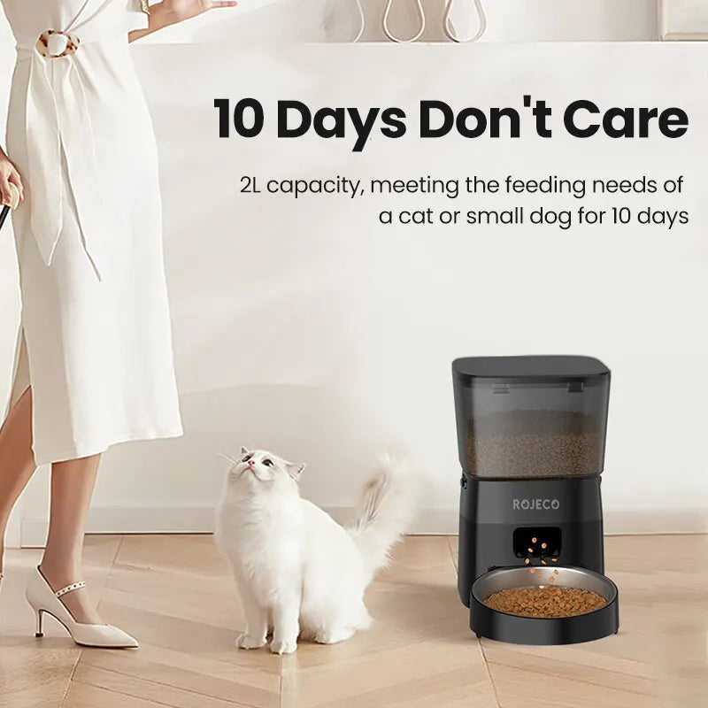 Distributeur automatique de nourriture pour chat Accessoires Mangeoire pour animaux de compagnie à commande intelligente pour chats Nourriture sèche pour chiens
