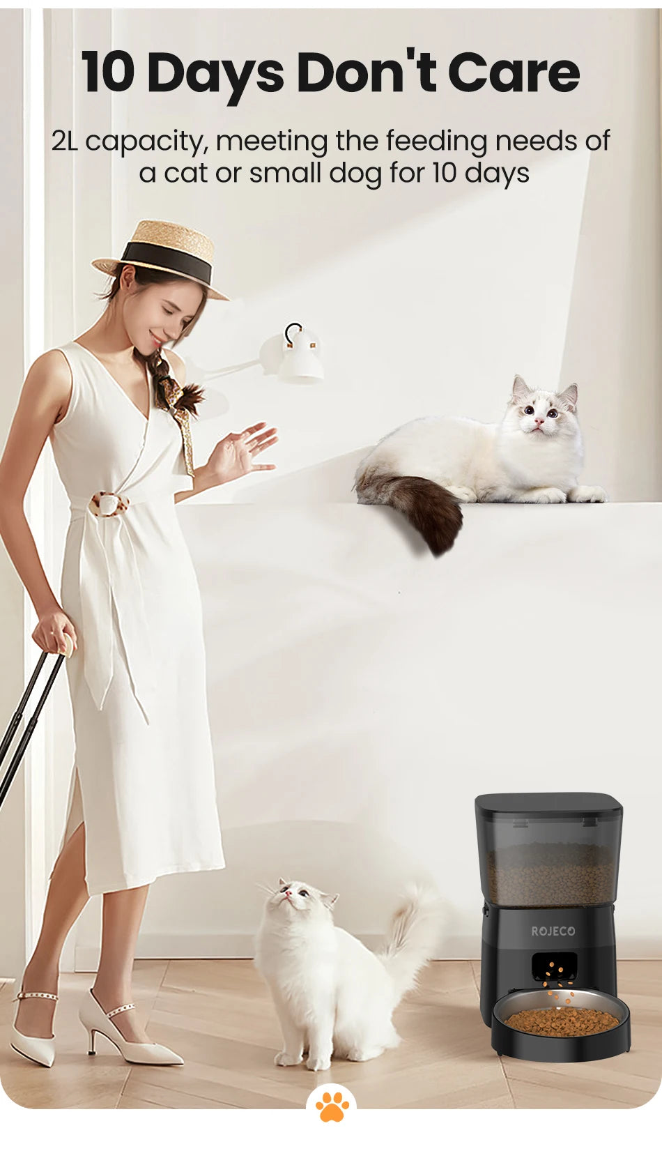 Distributeur automatique de nourriture pour chat Accessoires Mangeoire pour animaux de compagnie à commande intelligente pour chats Nourriture sèche pour chiens
